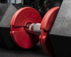 Rogue Add-On Change Plate Pair -Fitness Equipment AD0131 web4 ba5vod