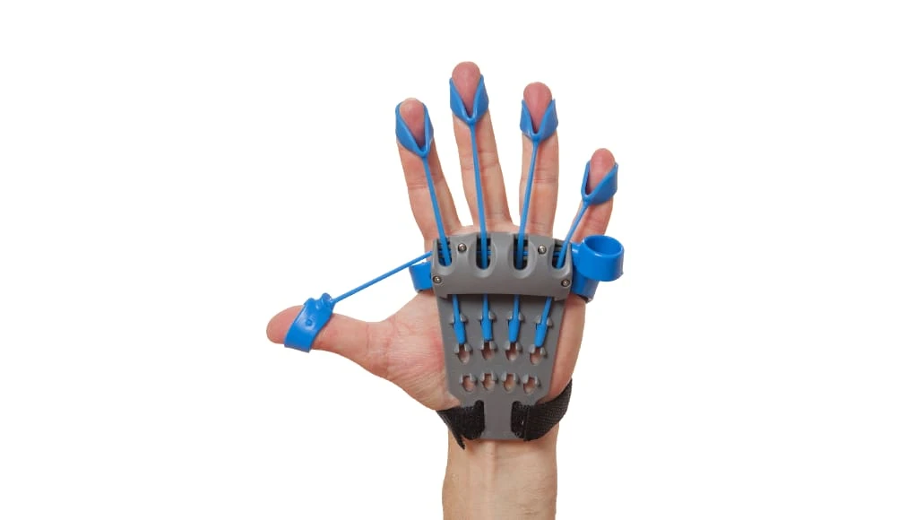 The Xtensor 3 The Xtensor - Image 3