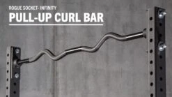 Rogue Infinity Socket Pull-up Curl Bar