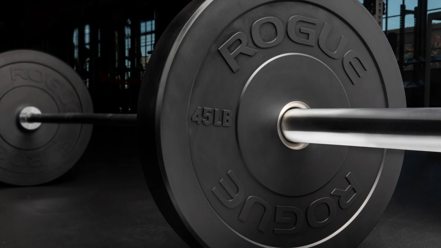 Rogue MIL Spec Echo Bumper 4 Rogue MIL Spec Echo Bumper - Image 4