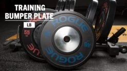 Rogue LB Training 2.0 Plates