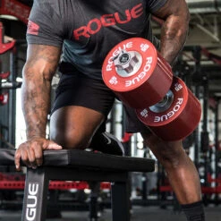 Rogue Dumbbell Bumpers -Fitness Equipment IP0524 HOVER zwsujs