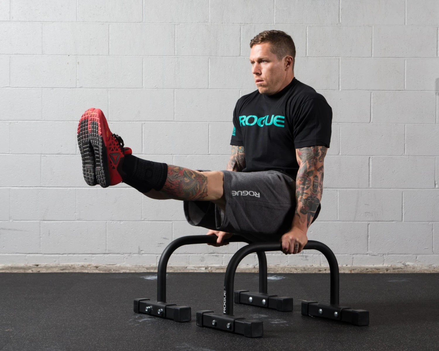 Rogue Bolt Together Parallette Set 3 Rogue Bolt Together Parallette Set - Image 3