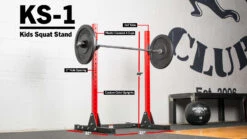 Rogue KS-1 Kids Squat Stand