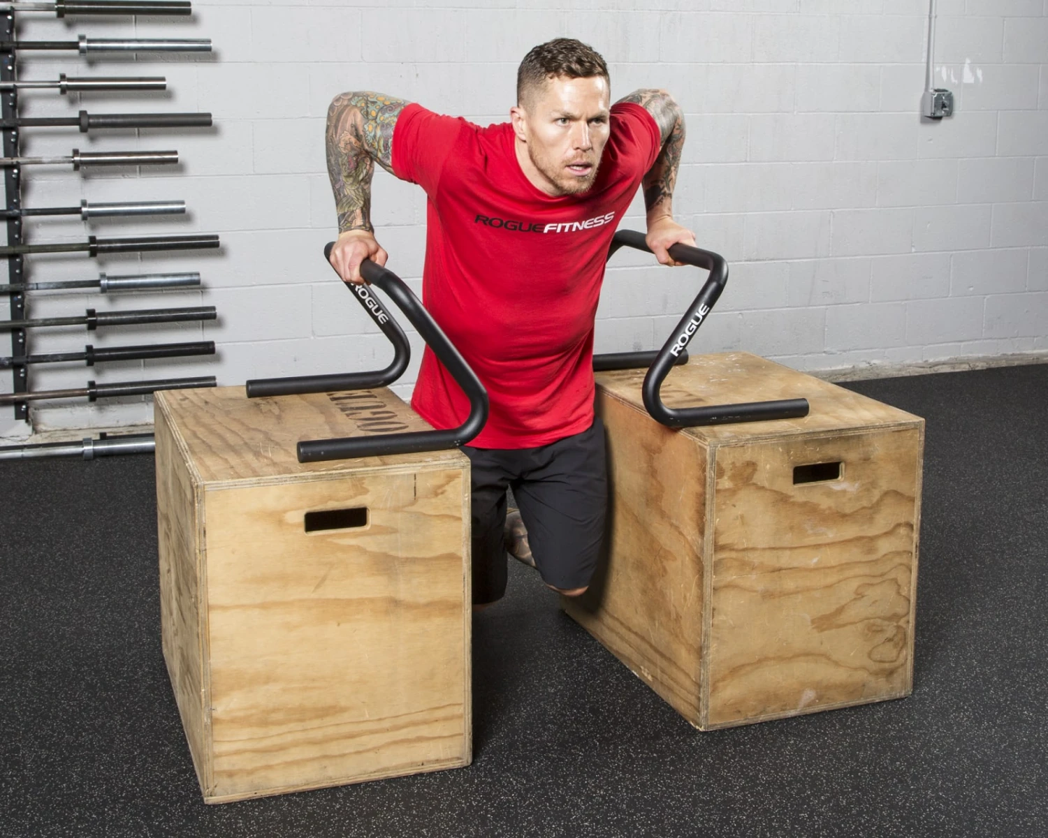 Rogue Formed Parallette Set 5 Rogue Formed Parallette Set - Image 5