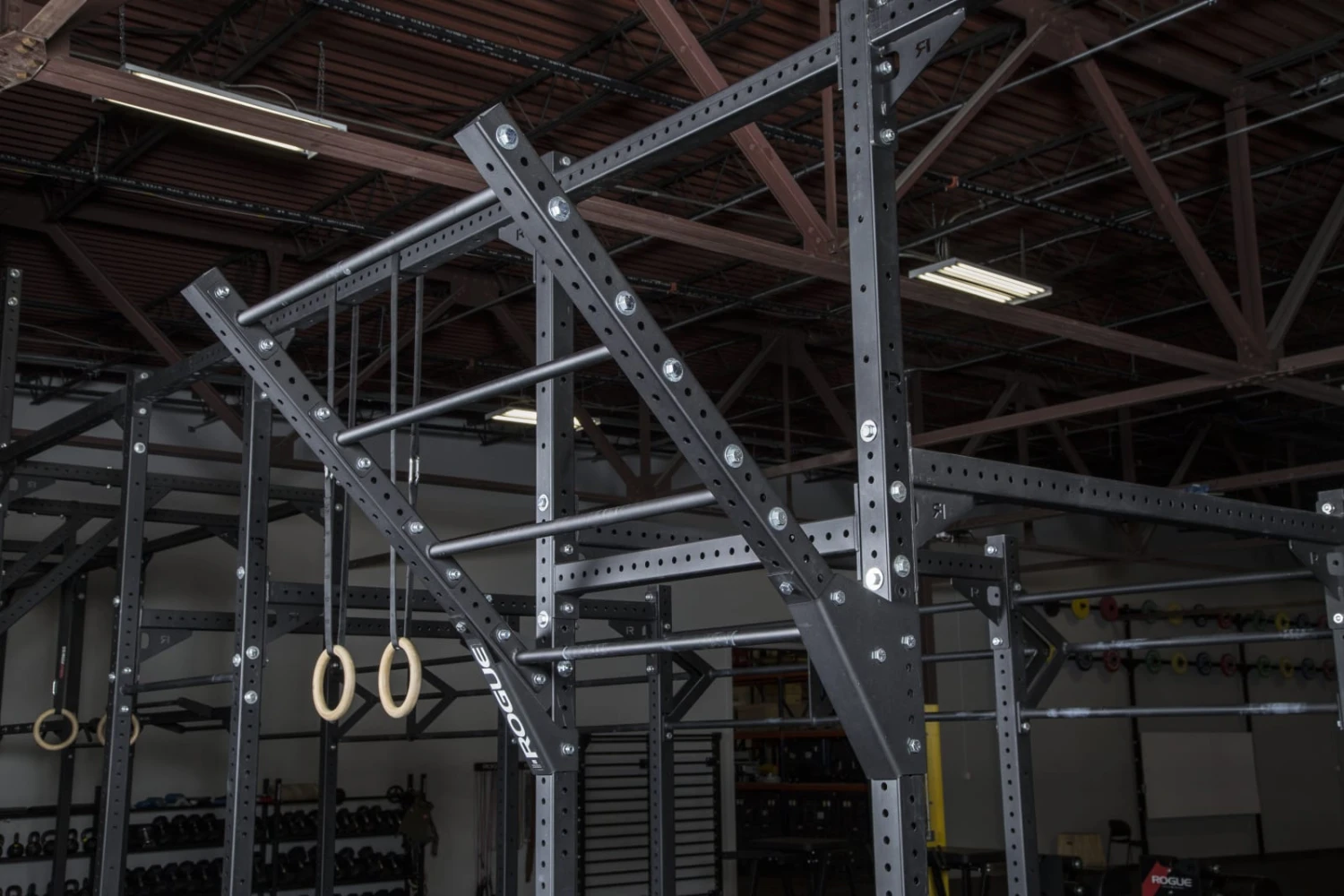 Rogue Monster Lite Flying Pull-up Bar 3 Rogue Monster Lite Flying Pull-up Bar - Image 3