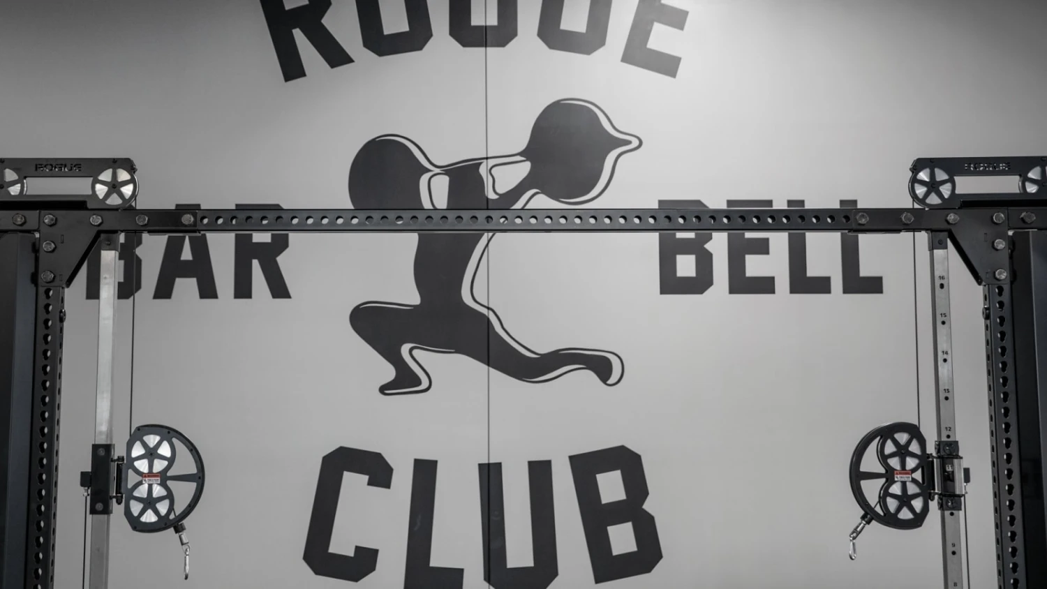 Rogue CC-1 Cable Crossover 2 Rogue CC-1 Cable Crossover - Image 2