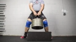 Rogue Ring Power Pin -Fitness Equipment RINGPOWERPIN Web1 jbyhbe