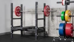 Rogue Westside Bench 2.0