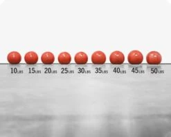 Rogue Echo Slam Balls 5 Rogue Echo Slam Balls -Fitness Equipment XX13219 web2 vsjsnm