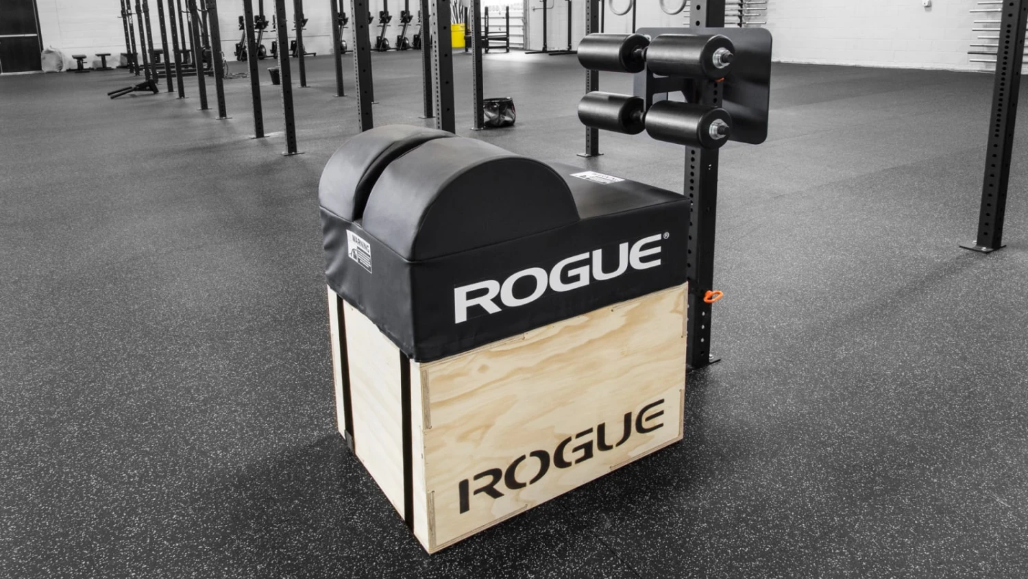 Rogue 3x3 Echo GHD 1 Rogue 3x3 Echo GHD