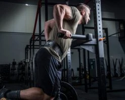 Rogue Dip Belt 5 Rogue Dip Belt -Fitness Equipment XX2101 web 3 zrbhte