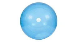 BOSU Balls 5 BOSU Balls -Fitness Equipment XX2164 web 1 m855hf