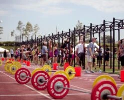 Dirty South Bar -Fitness Equipment XX225 web2 lgehsv