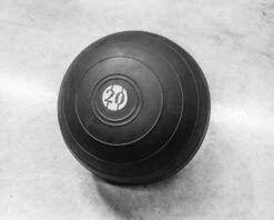 Rogue MK D-balls -Fitness Equipment XX259 WEB2 vbow8n