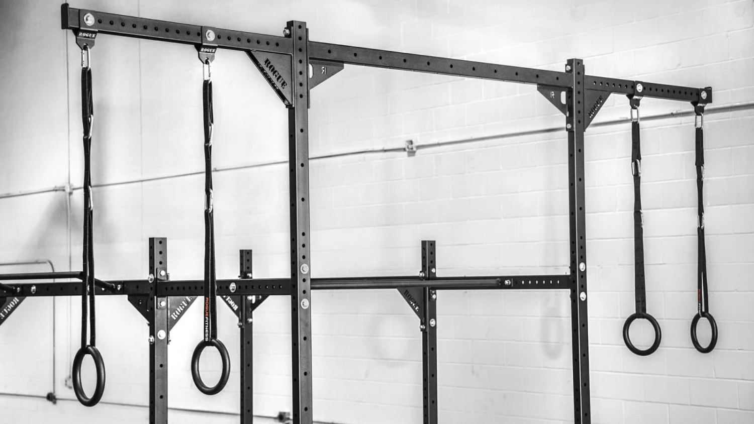 Rogue Shrimp Trawler 1 Rogue Shrimp Trawler