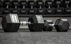 Rogue Dumbbells 8 Rogue Dumbbells -Fitness Equipment XX7125 WEB3 rglczm